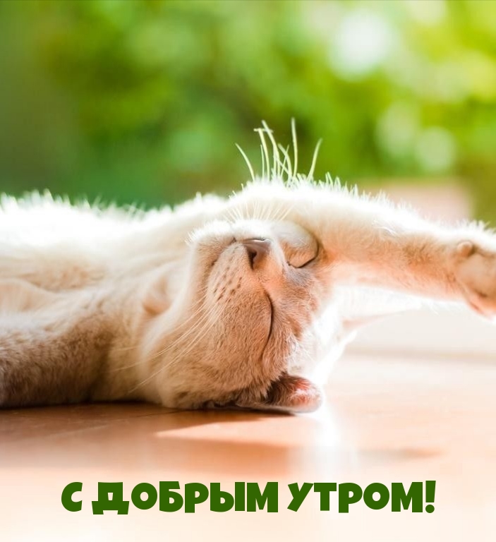 С Добрым утром!
