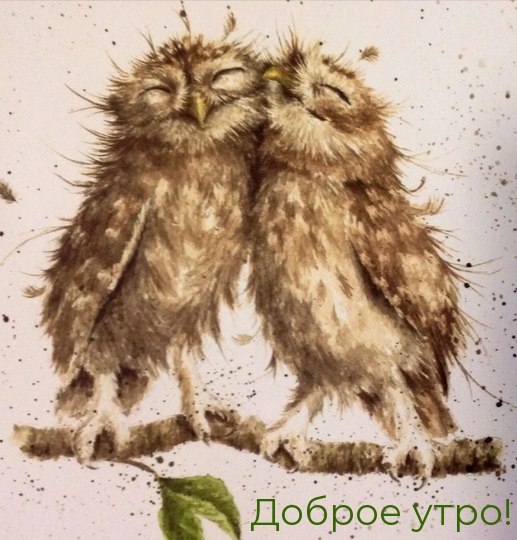 Доброе утро!
