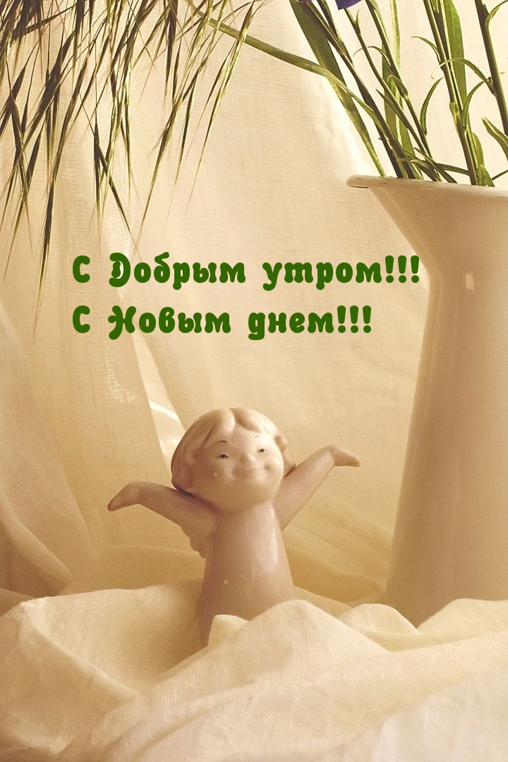 С Добрым утром! С Новым днем!