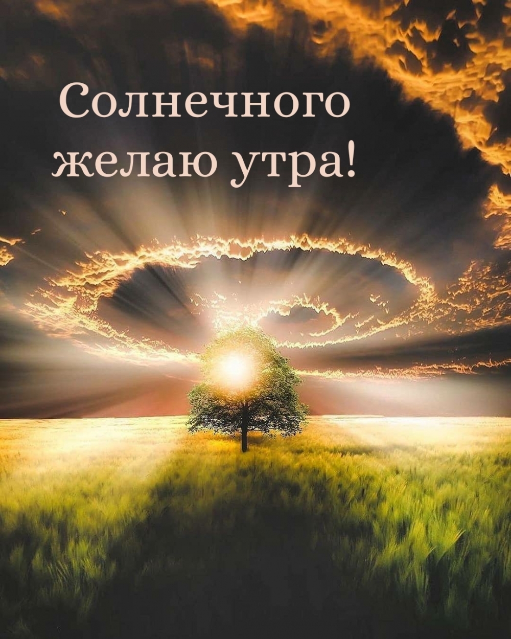 Солнечного желаю утра!