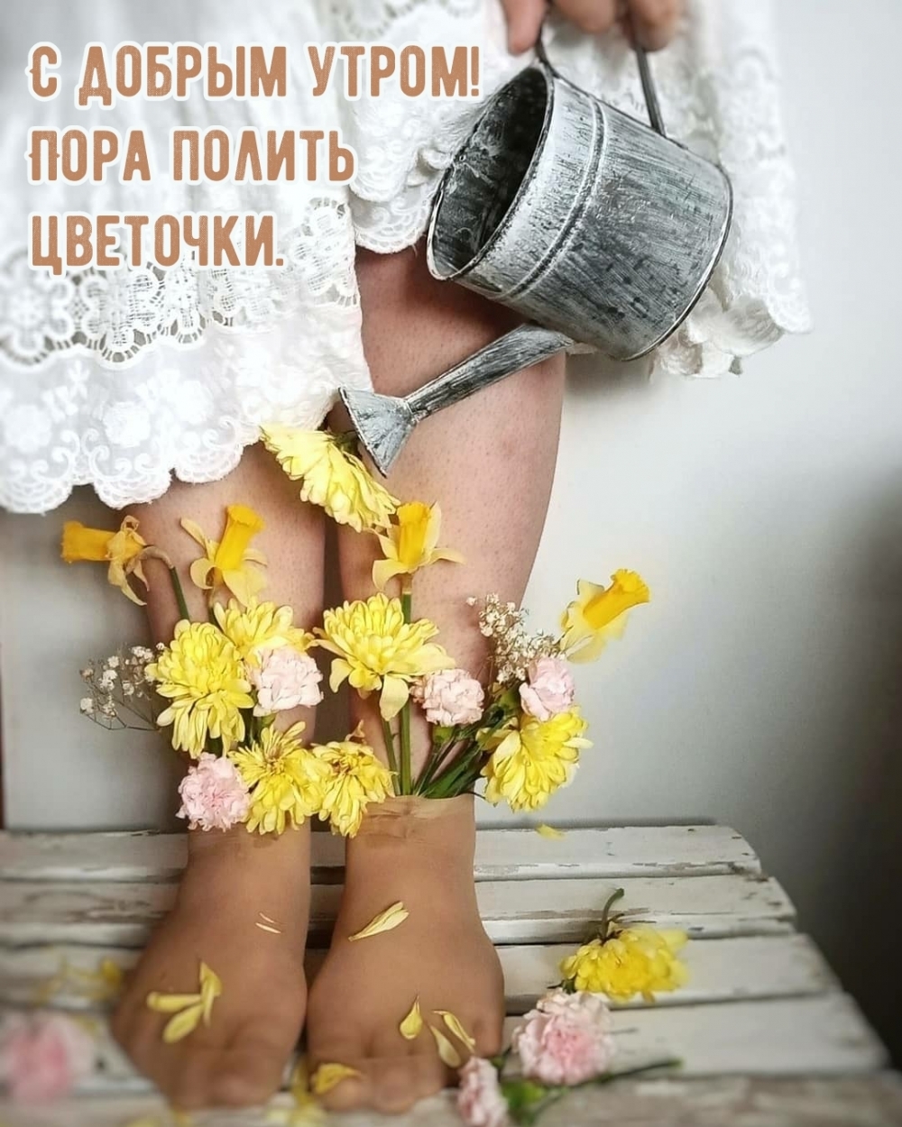 С добрым утром! Пора полить цветочки.