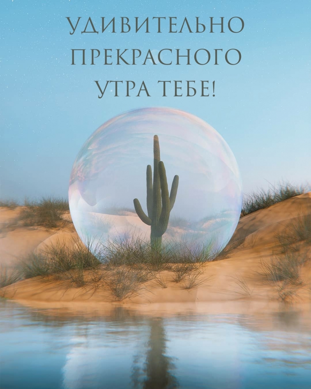 Картинка - Удивительно прекрасного утра тебе!.