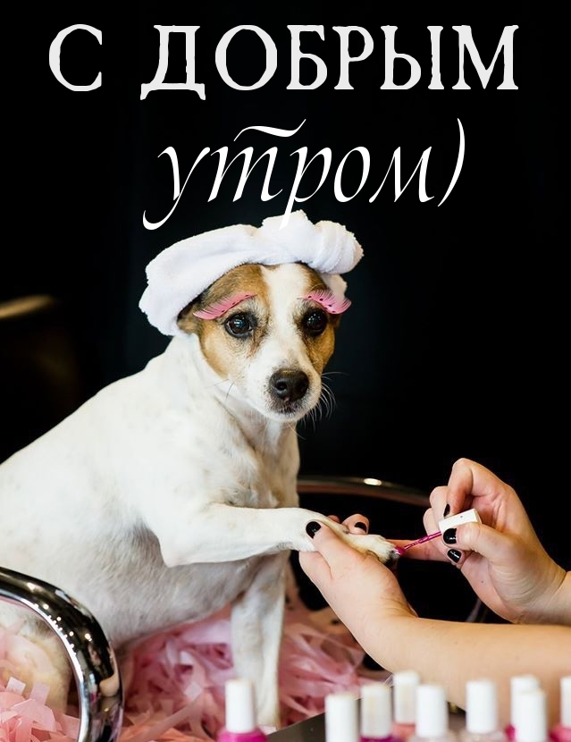 С добрым утром)