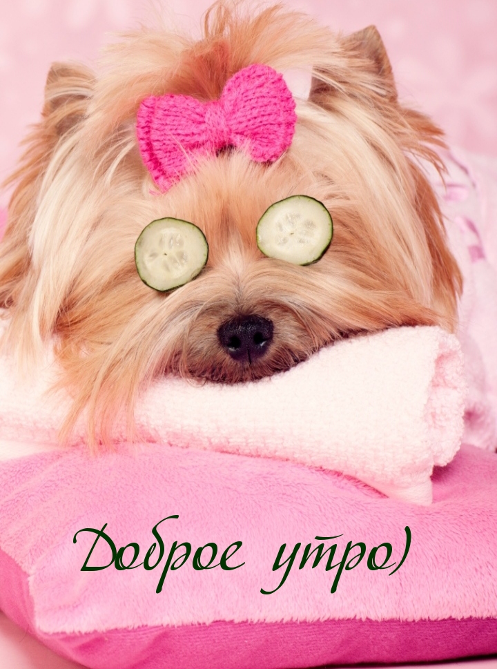 Доброе утро)