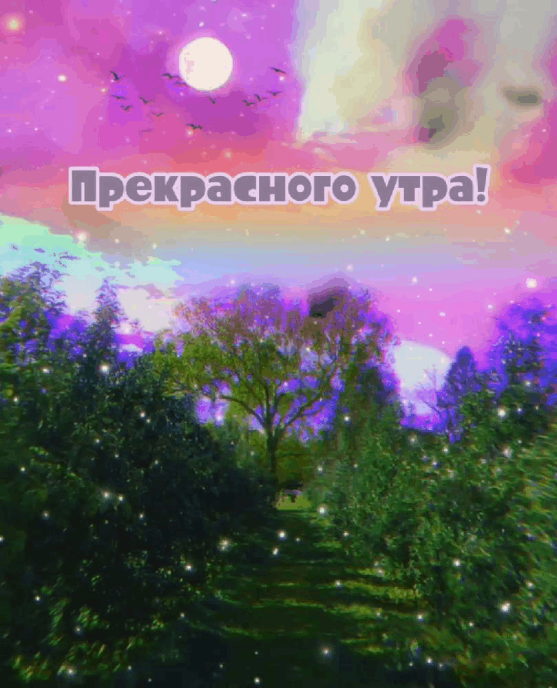 Прекрасного утра!