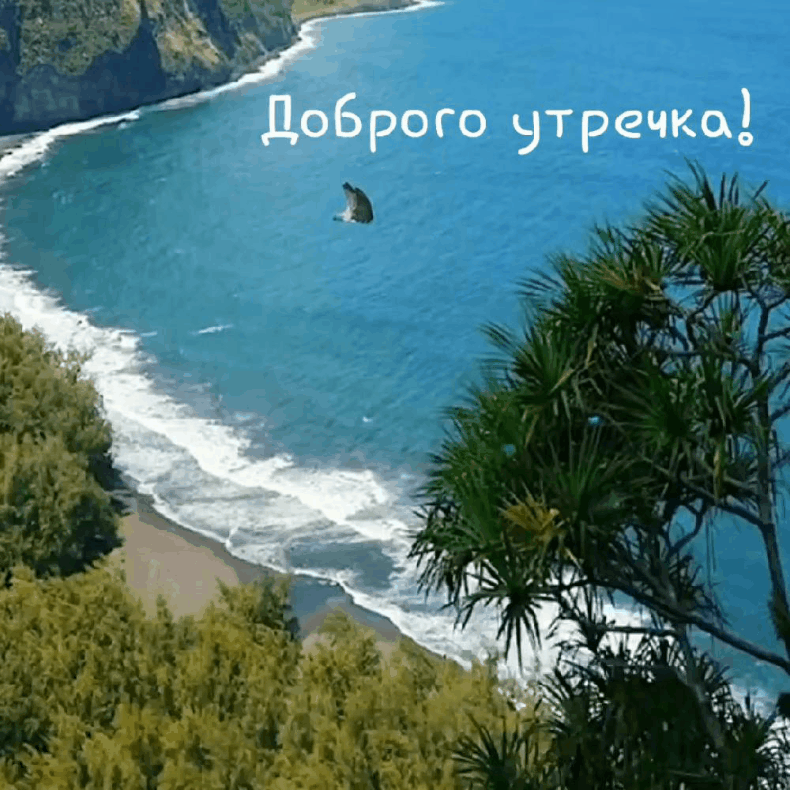 Доброго утречка!