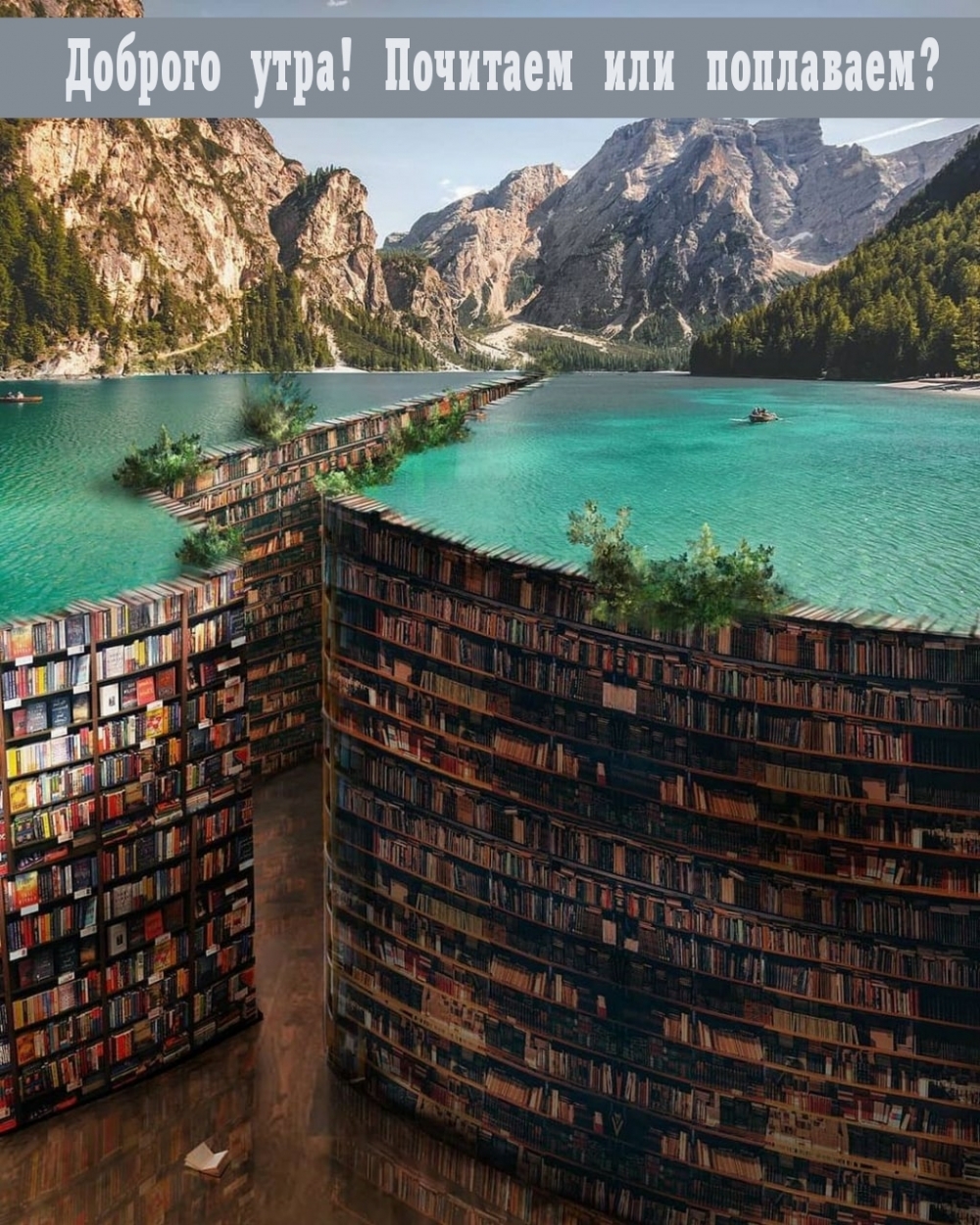 Доброго утра! Почитаем или поплаваем?
