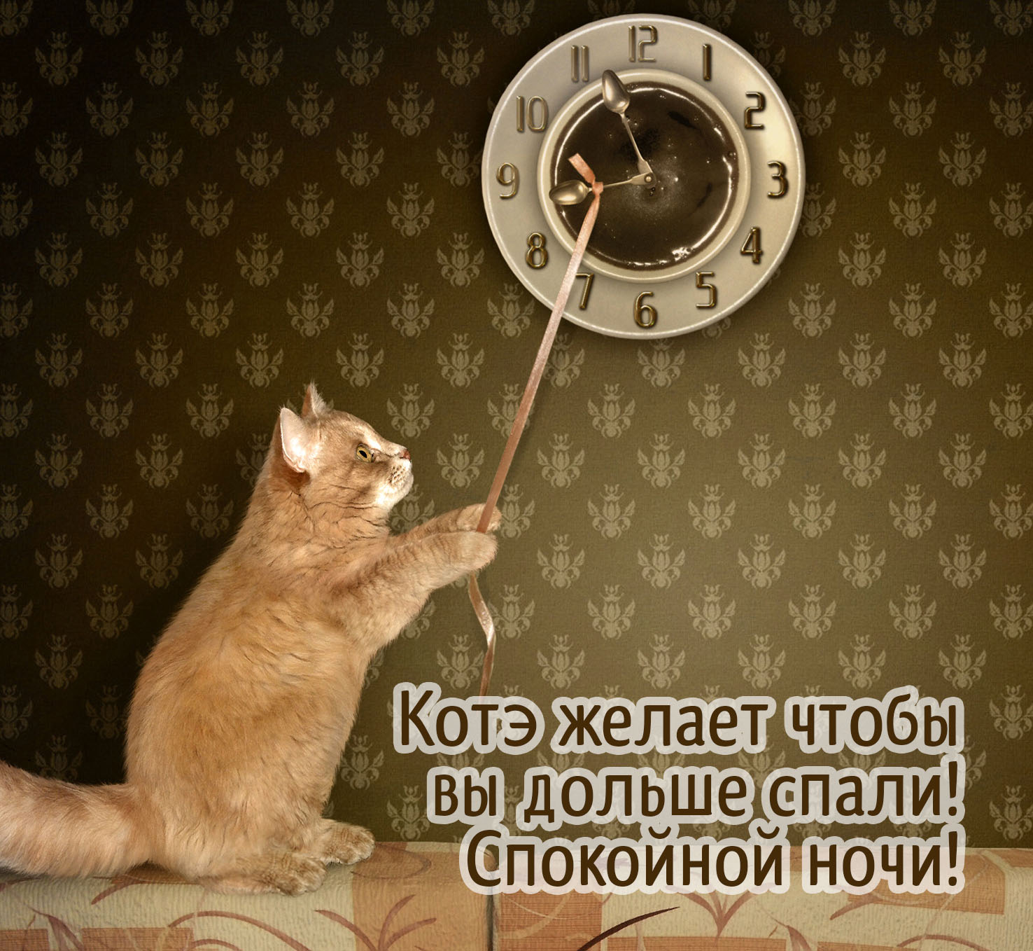 Котэ желает, чтобы вы дольше спали!