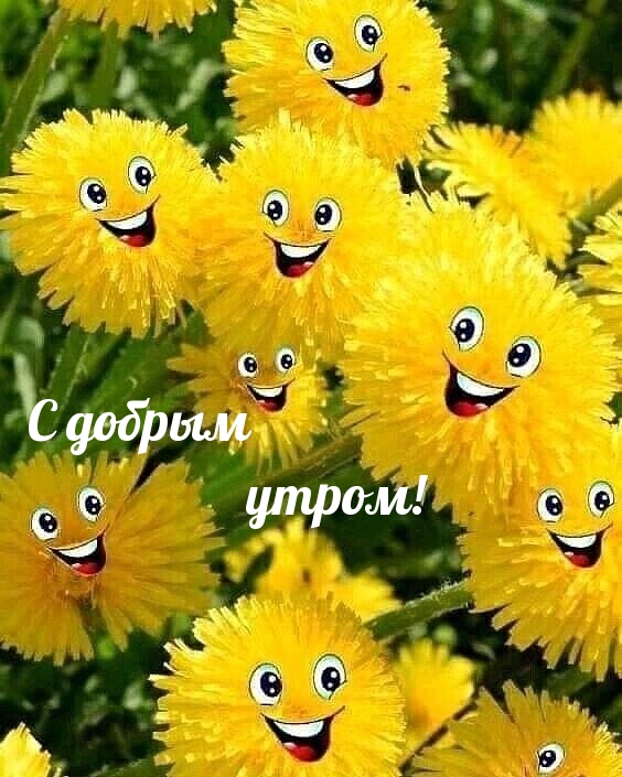 С добрым утром!