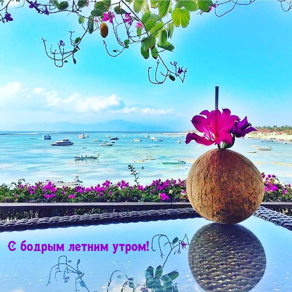 С бодрым летним утром!