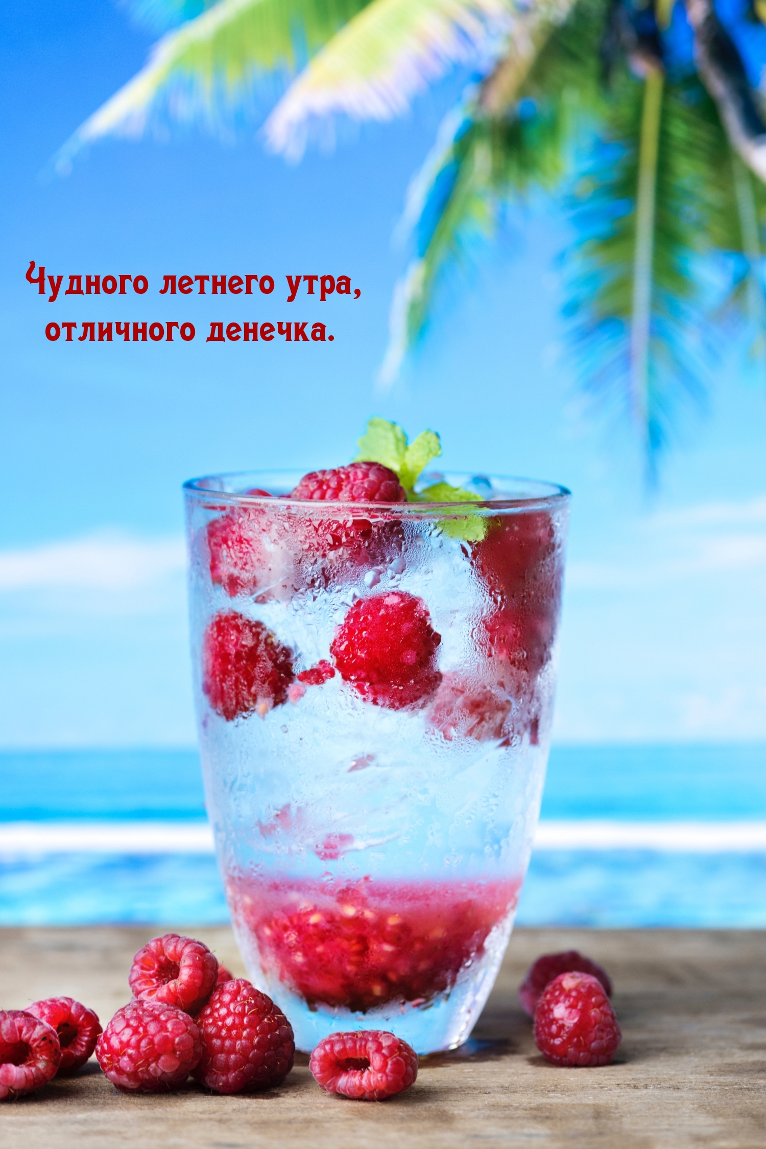 Чудного летнего утра, отличного денечка.