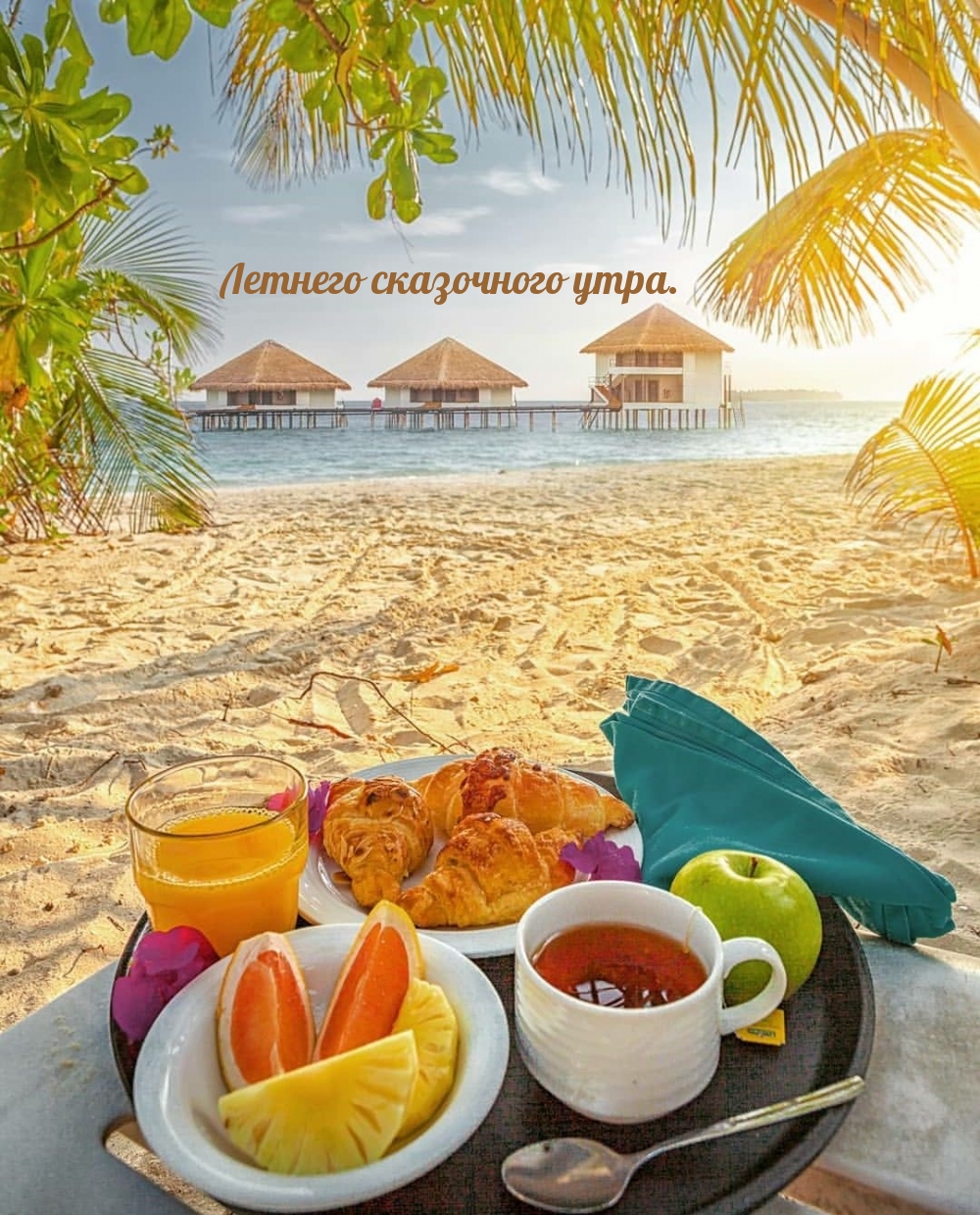 Летнего сказочного утра.