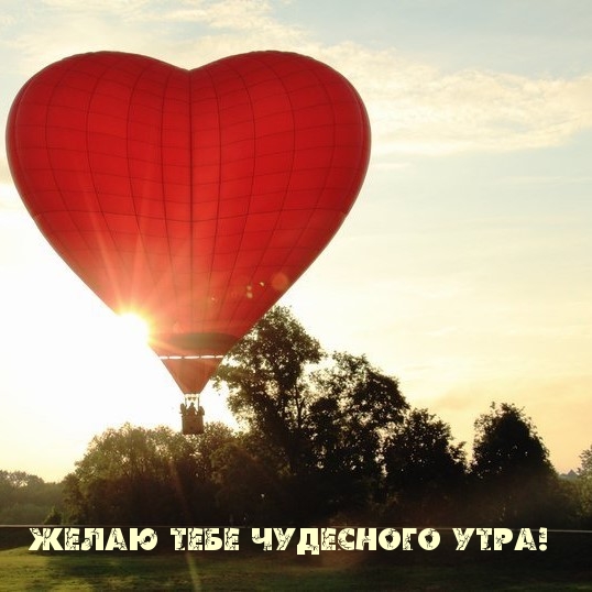 Желаю тебе чудесного утра!