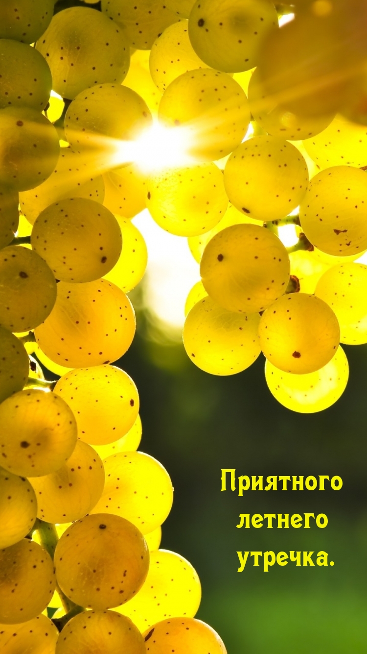 Приятного летнего утречка.
