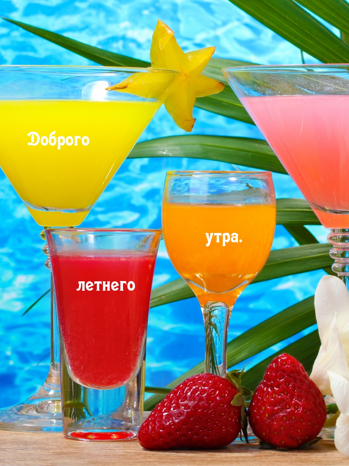 Доброго летнего утра.