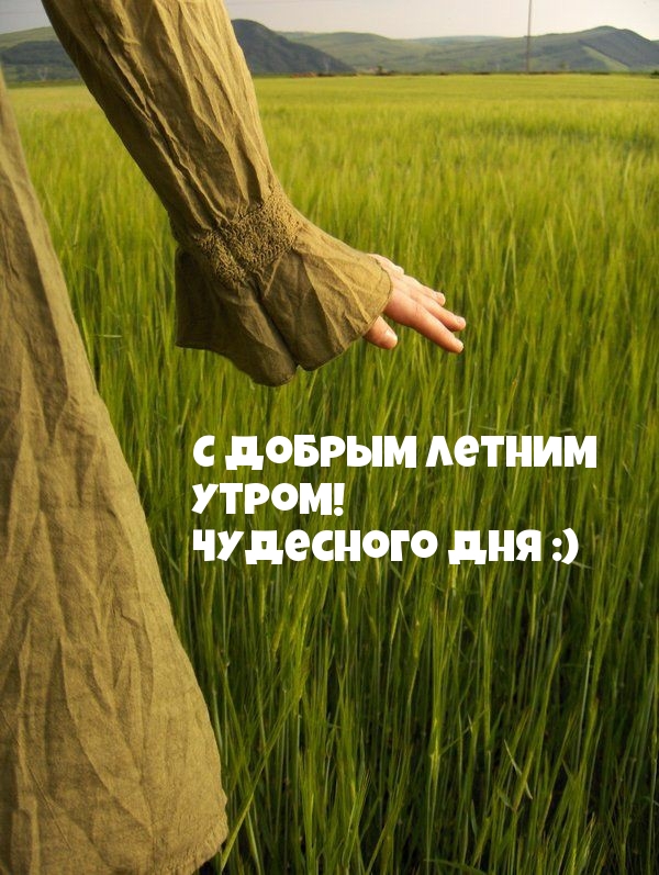 С добрым летним утром! Чудесного дня :)