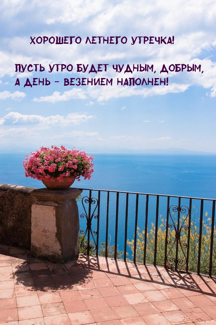 Хорошего летнего утречка!