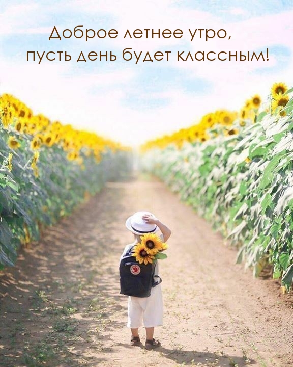 Доброе летнее утро, пусть день будет классным!