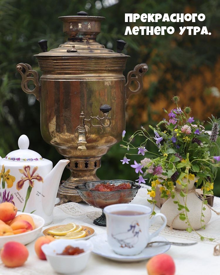 Прекрасного летнего утра.