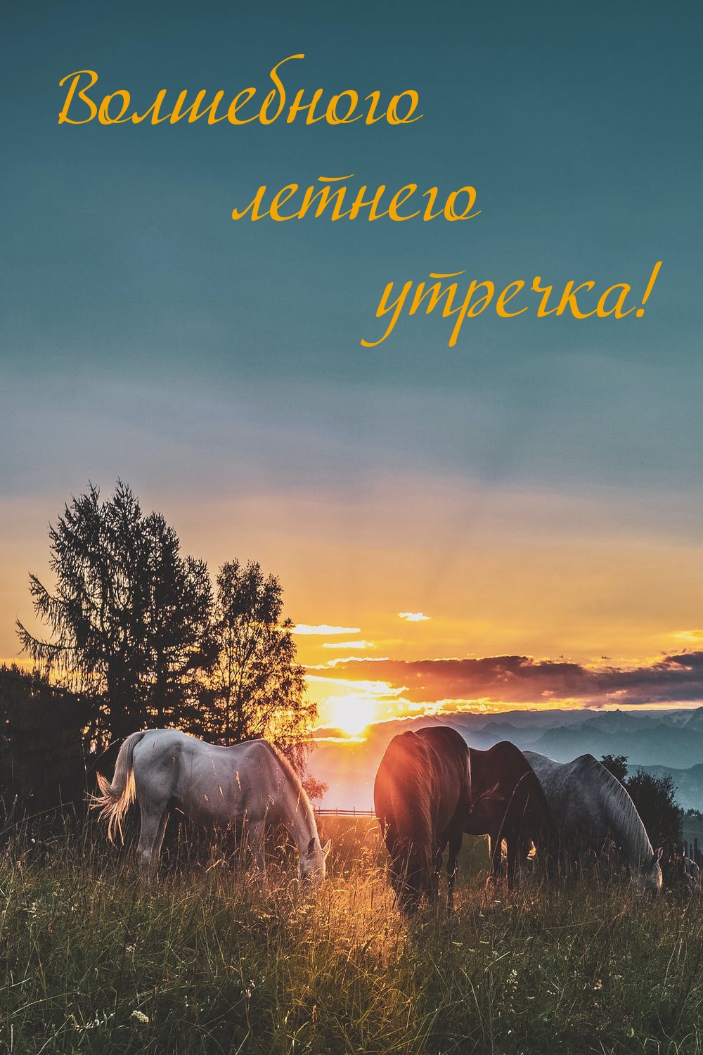 Волшебного летнего утречка!