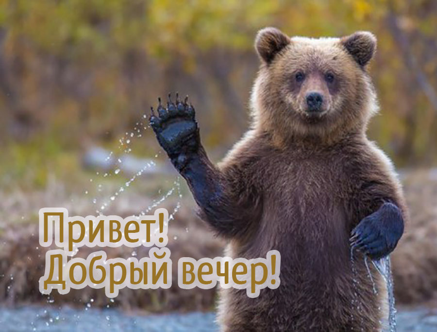 Привет, добрый вечер!