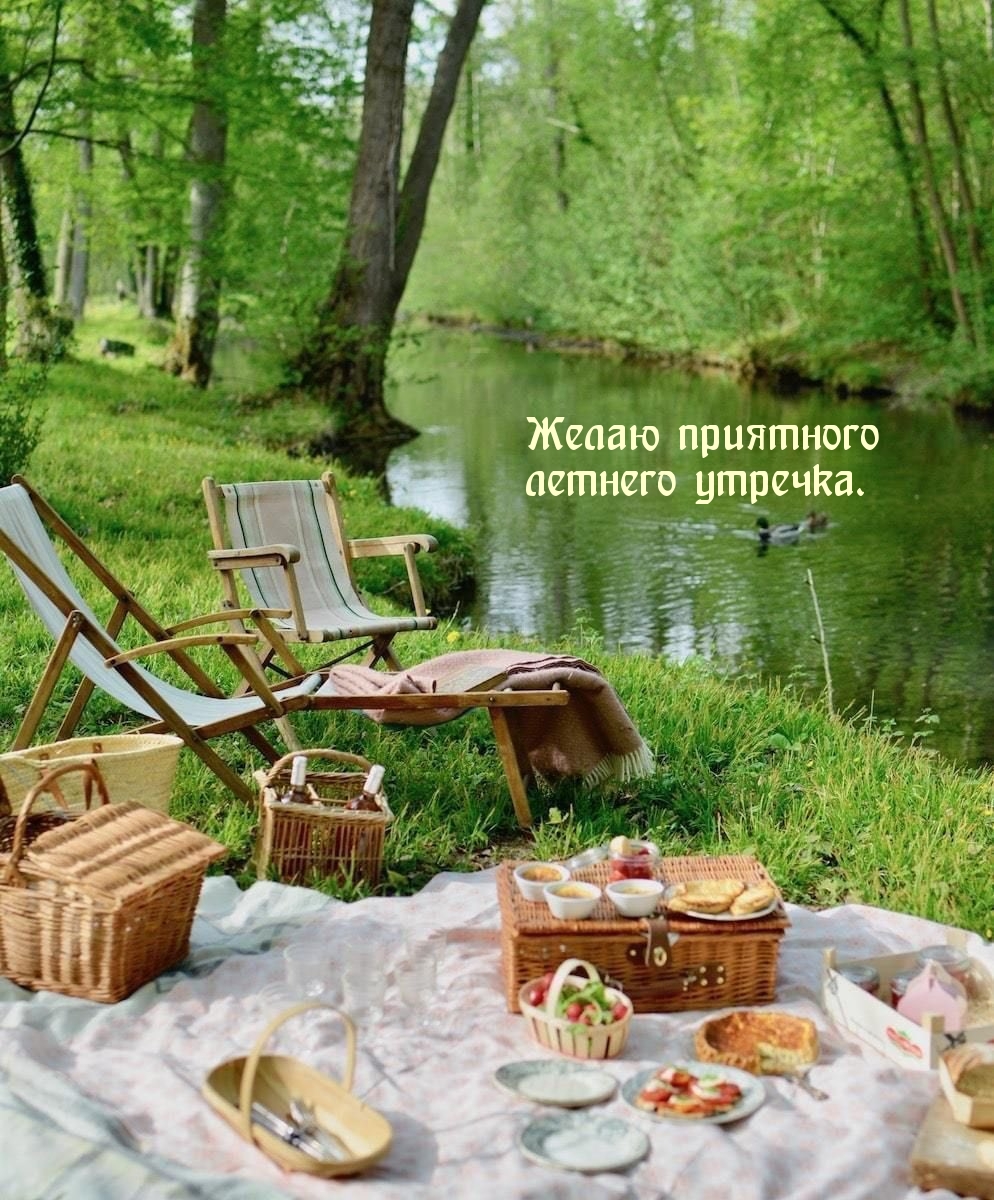 Желаю приятного летнего утречка.