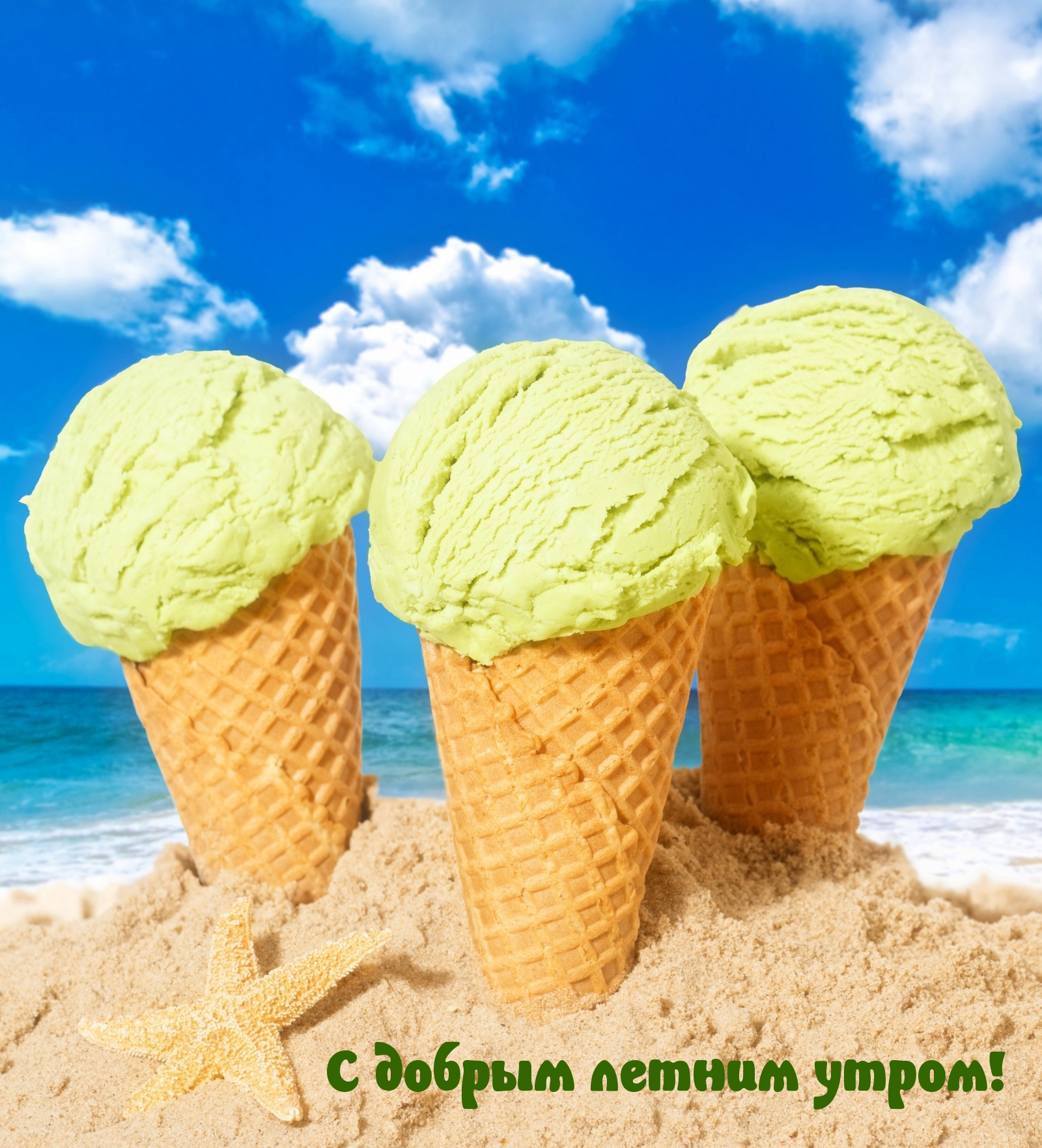 С добрым летним утром!