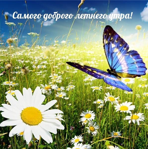 Самого доброго летнего утра!