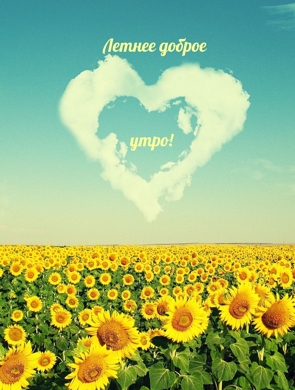 Летнее доброе утро!