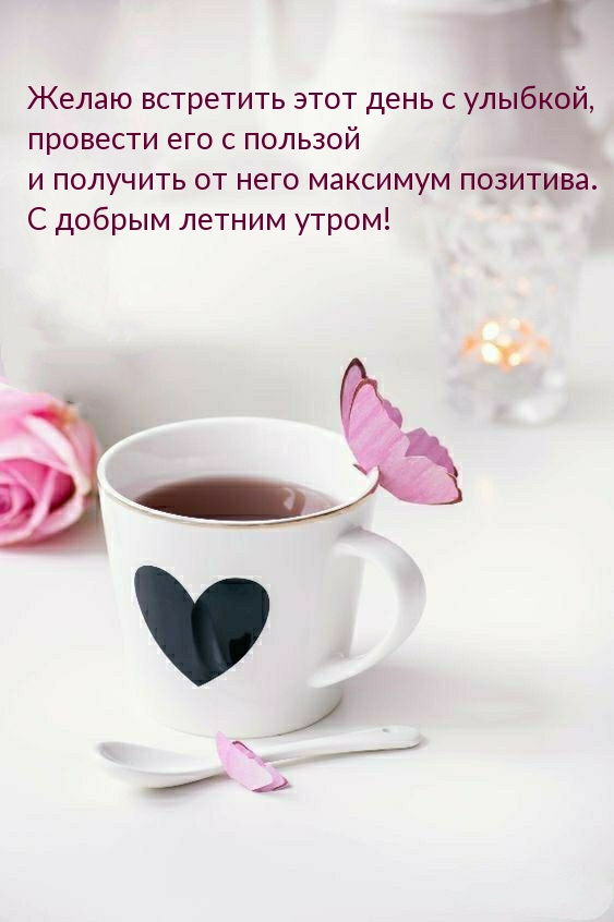 С добрым летним утром!