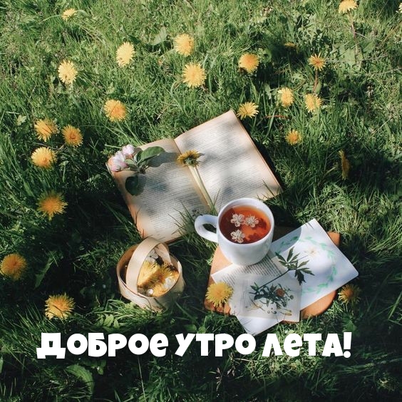 Доброе утро лета!