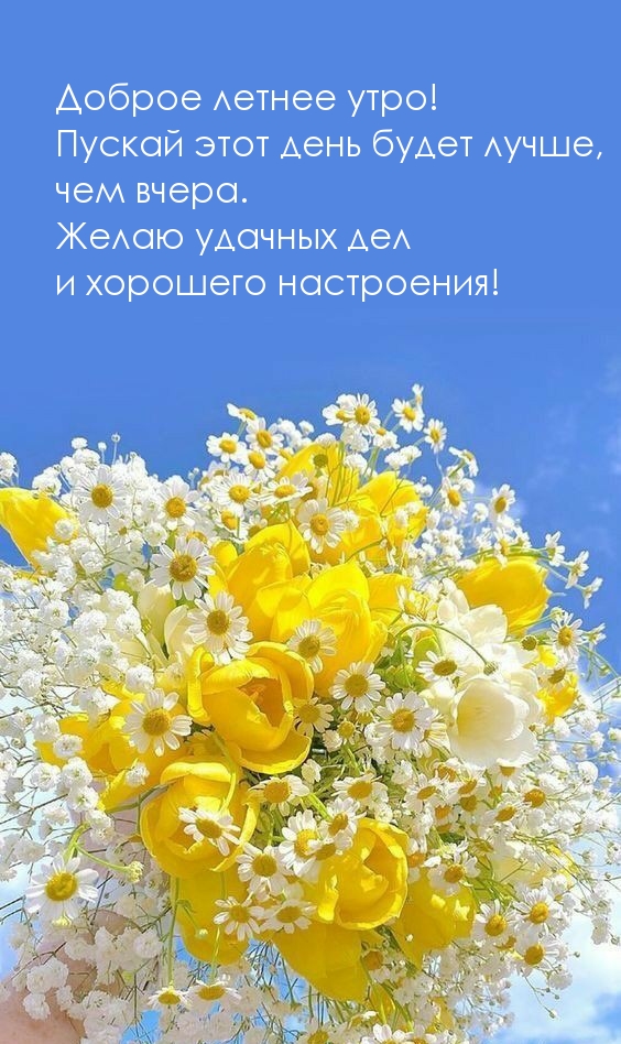 Доброе летнее утро! Пускай этот день будет лучше чем вчера.
