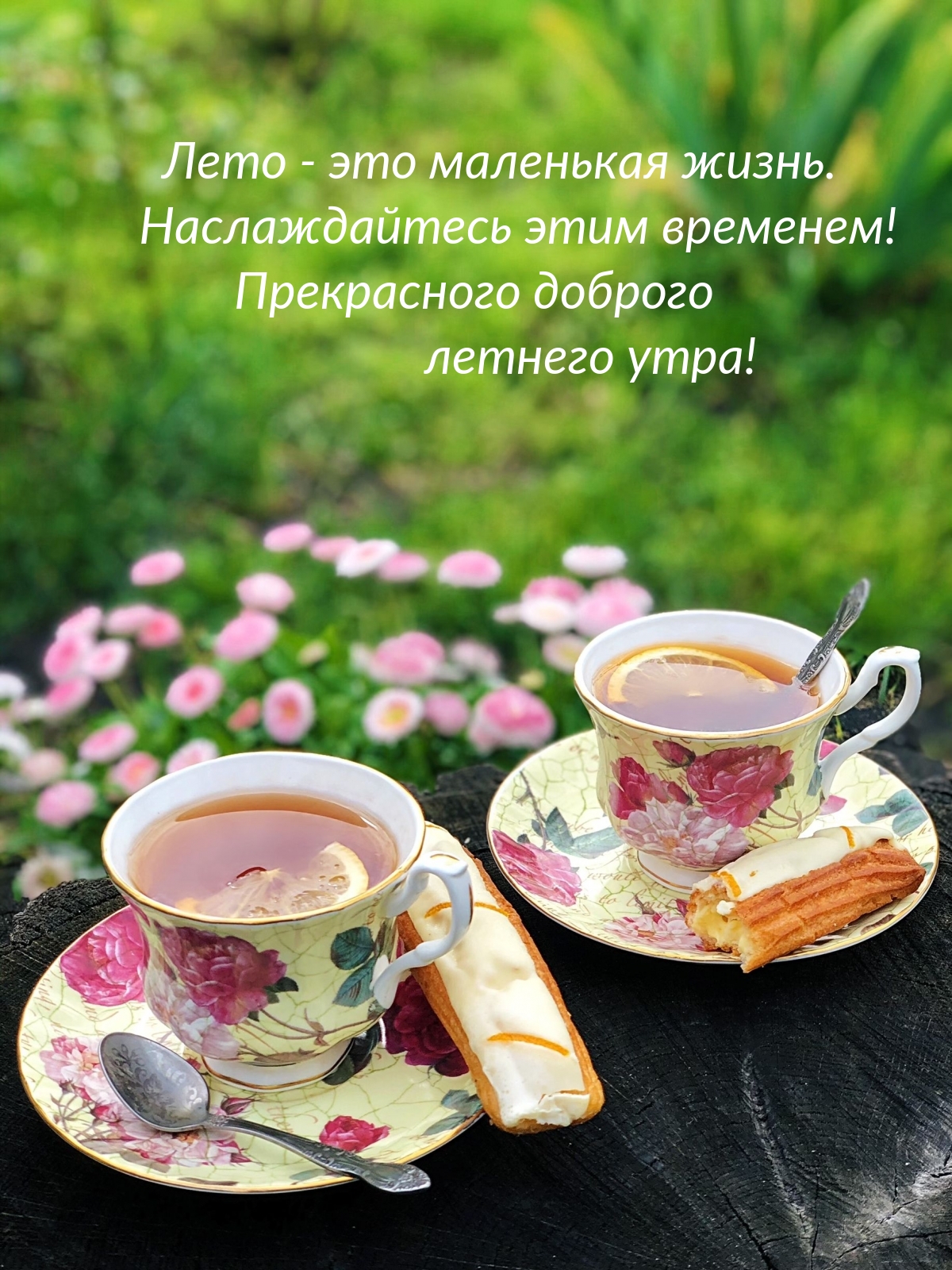 Лето — это маленькая жизнь.