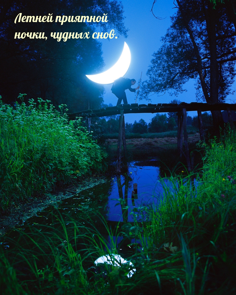 Картинка - Летней приятной ночки, чудных снов..