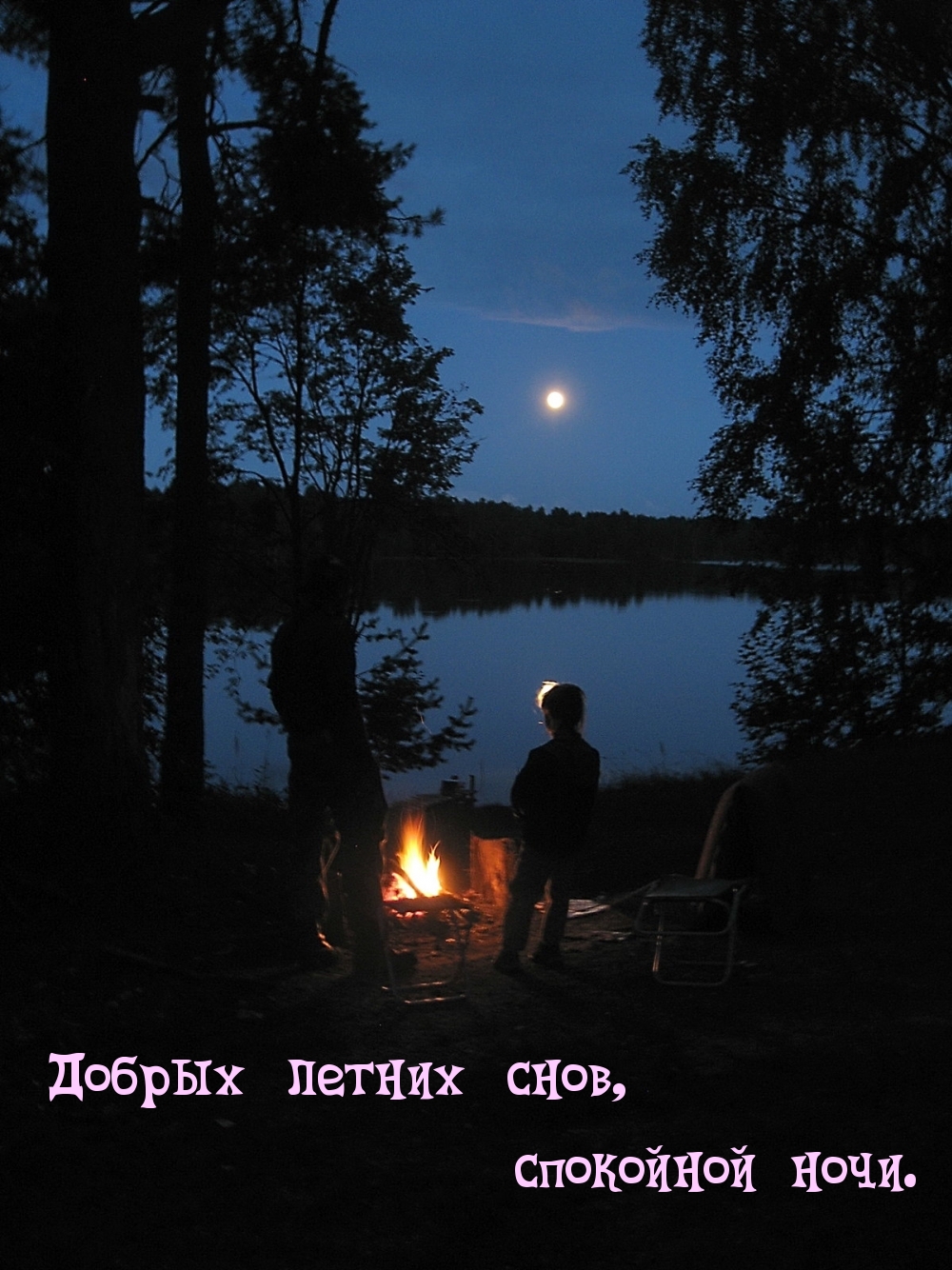 Добрых летних снов, спокойной ночи.