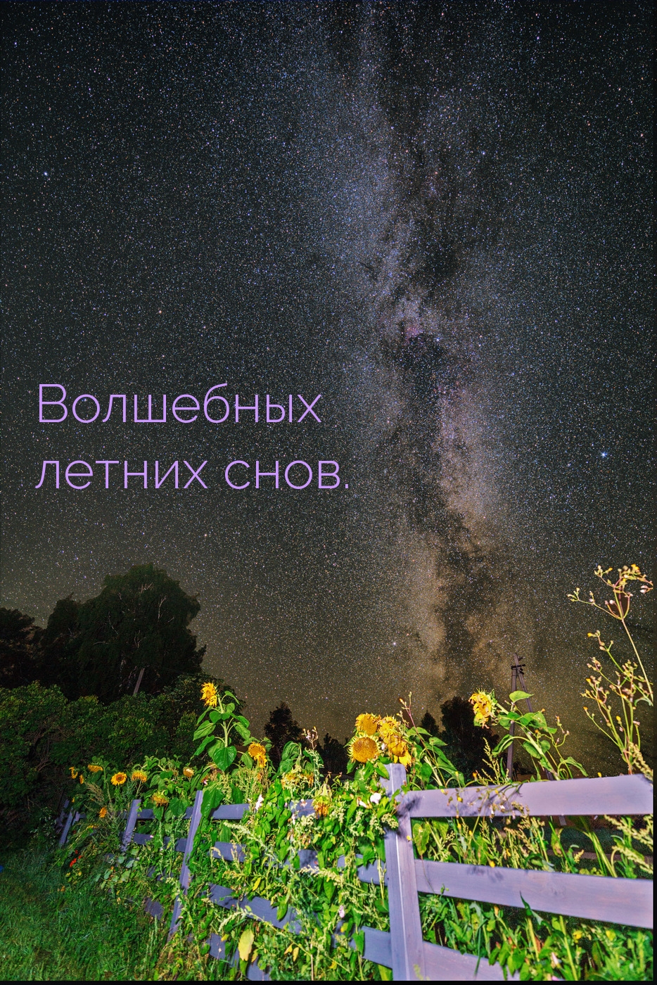 Волшебных летних снов.