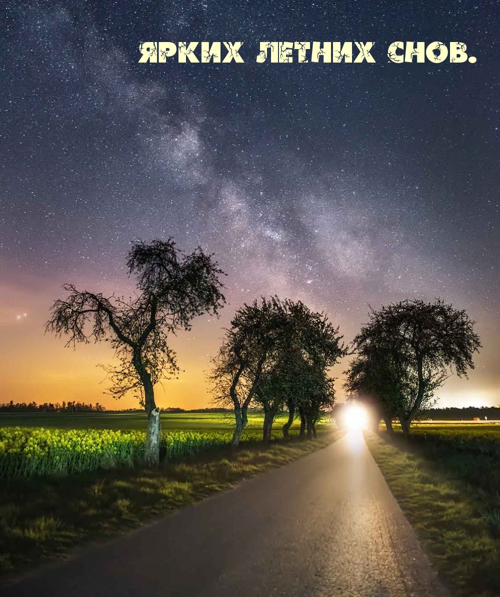 Ярких летних снов.