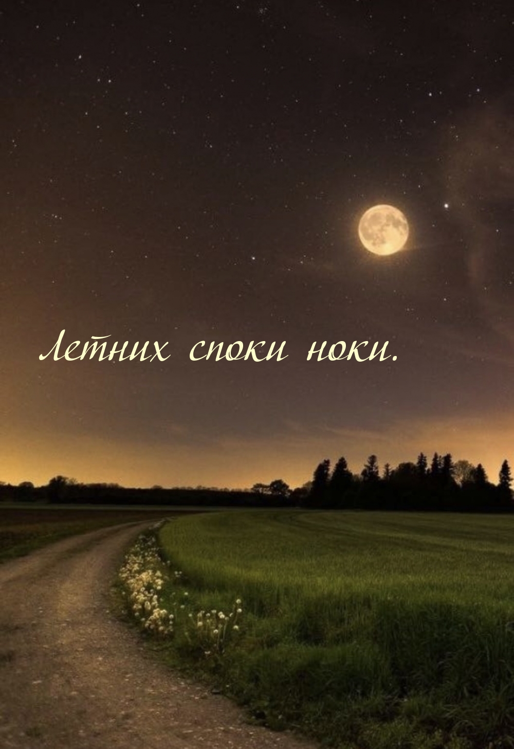 Летних споки ноки.