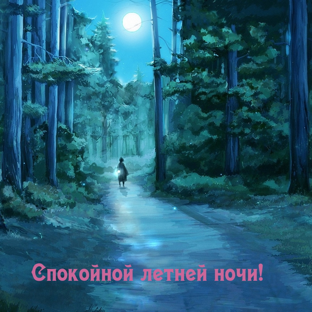 Спокойной летней ночи!