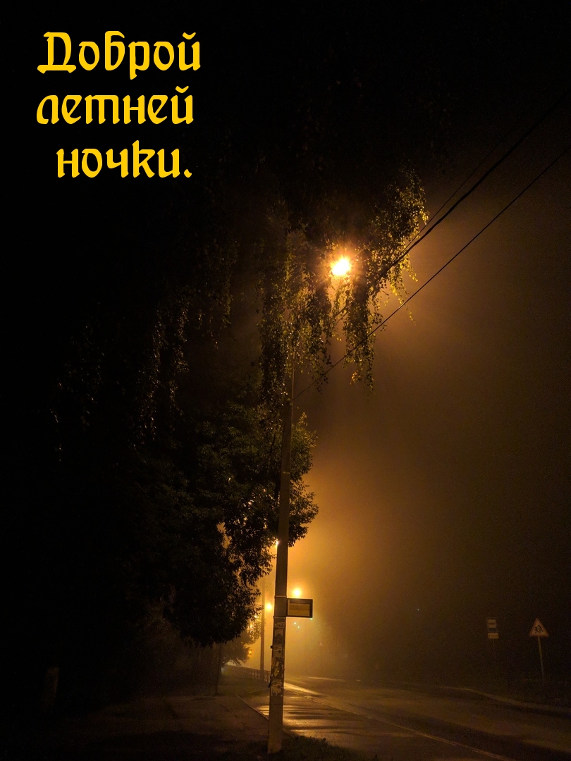 Доброй летней ночки.
