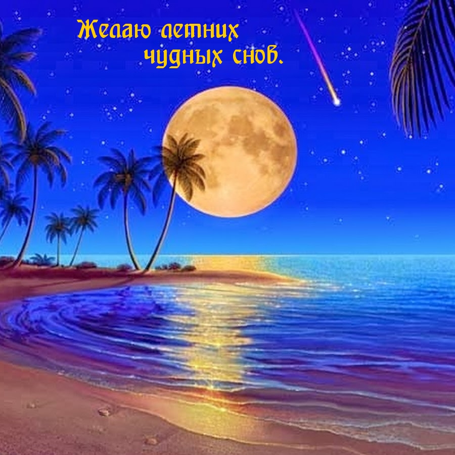 Желаю летних чудных снов.
