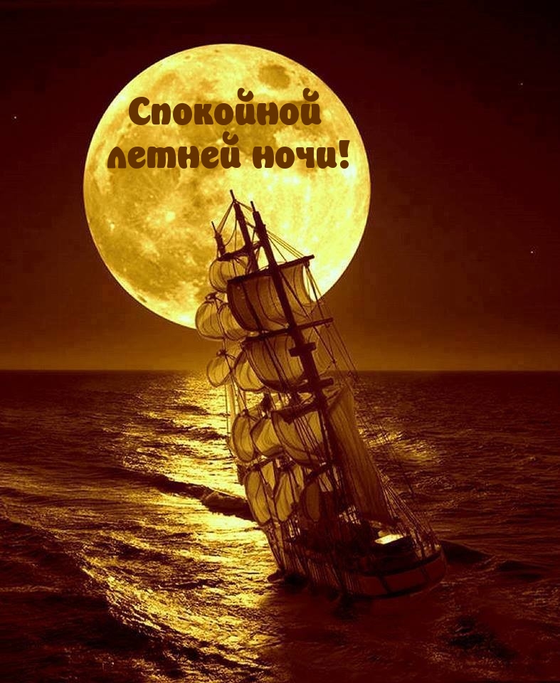 Спокойной летней ночи!