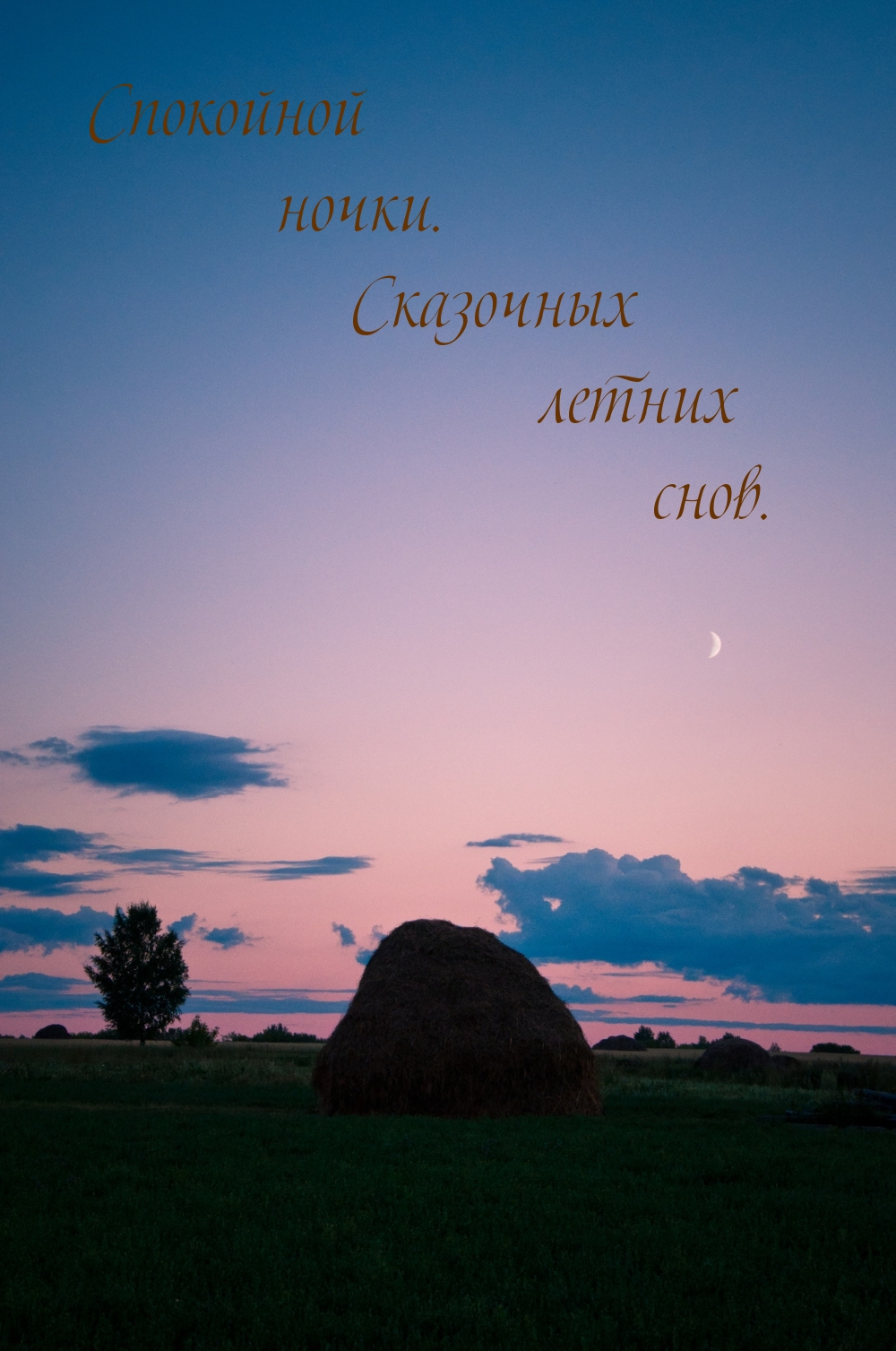 Спокойной ночки. Сказочных летних снов.