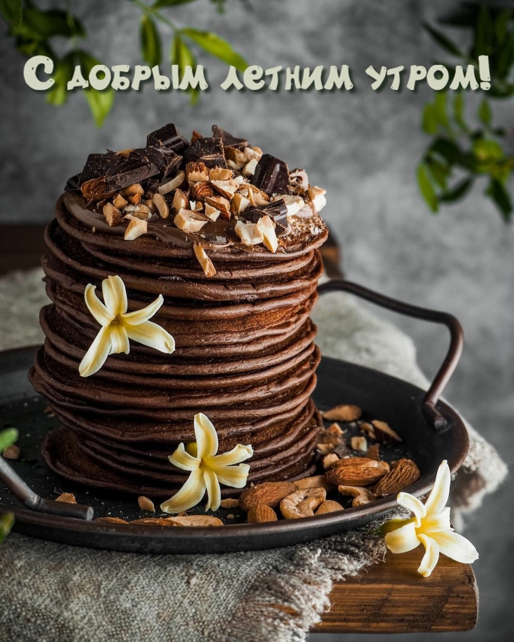 С добрым летним утром!