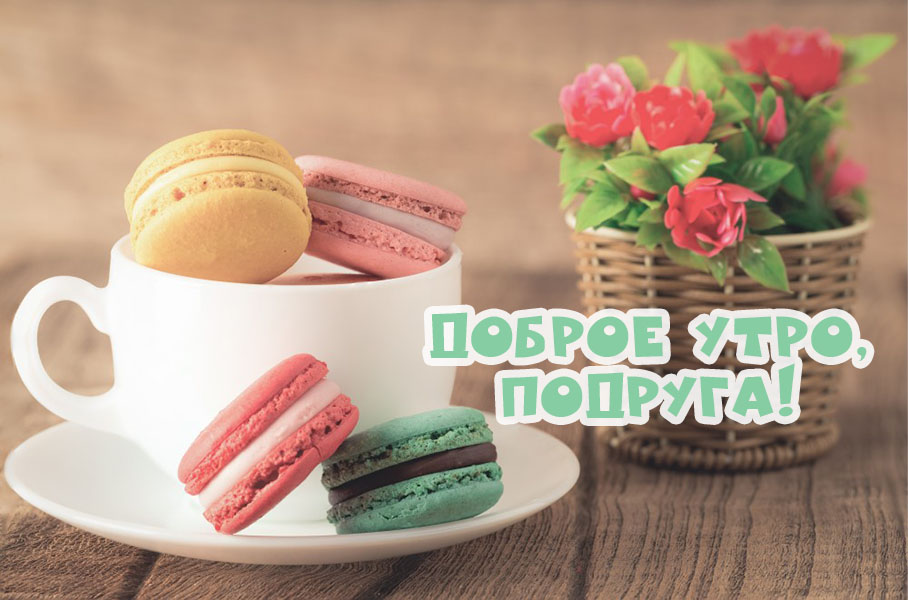 Доброе утро, подруга!
