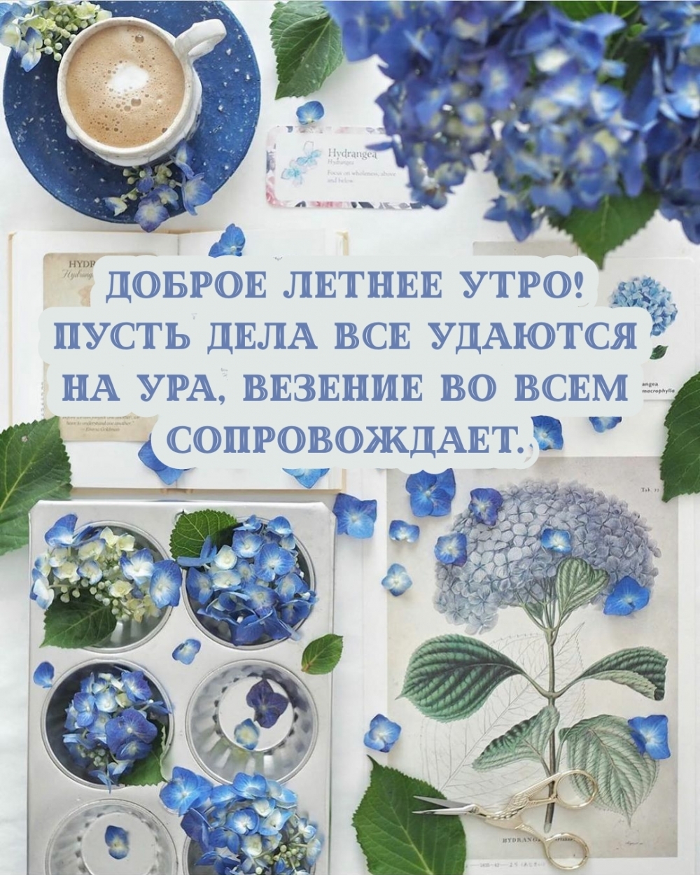 Доброе летнее утро! Пусть дела все удаются на ура