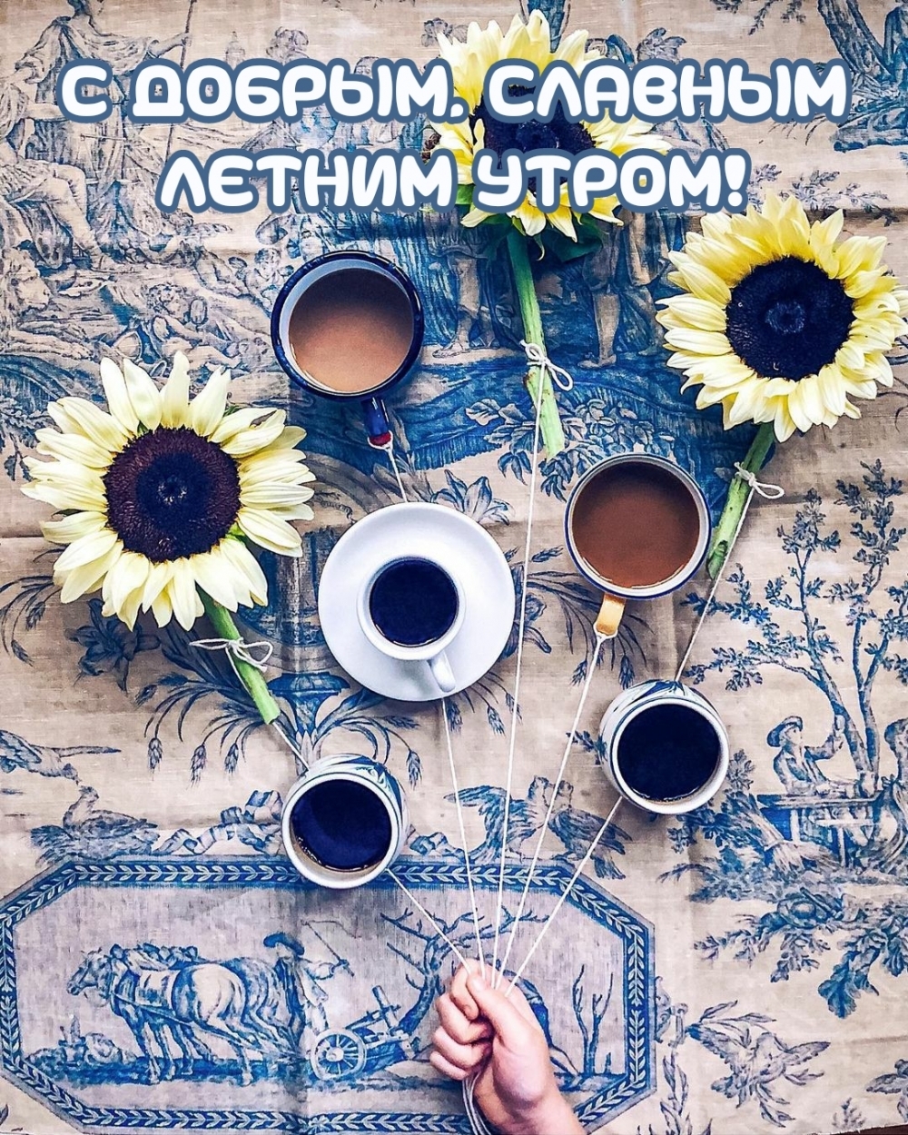 С добрым, славным летним утром!