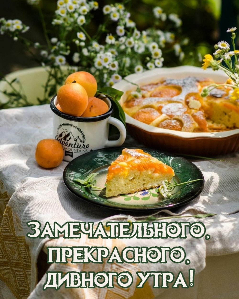 Замечательного, прекрасного, дивного утра!