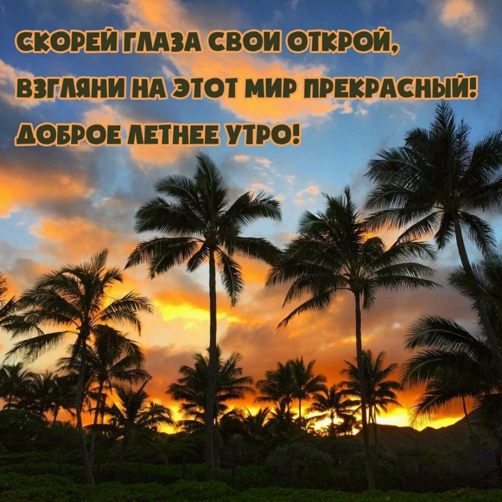 Скорей глаза свои открой. Доброе летнее утро!