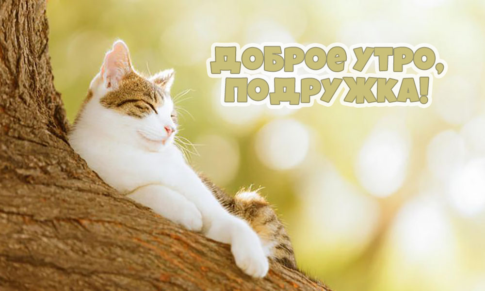 С добрым утром, подружка!